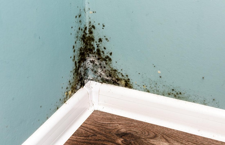 Taking care of Water Damage Within the Home