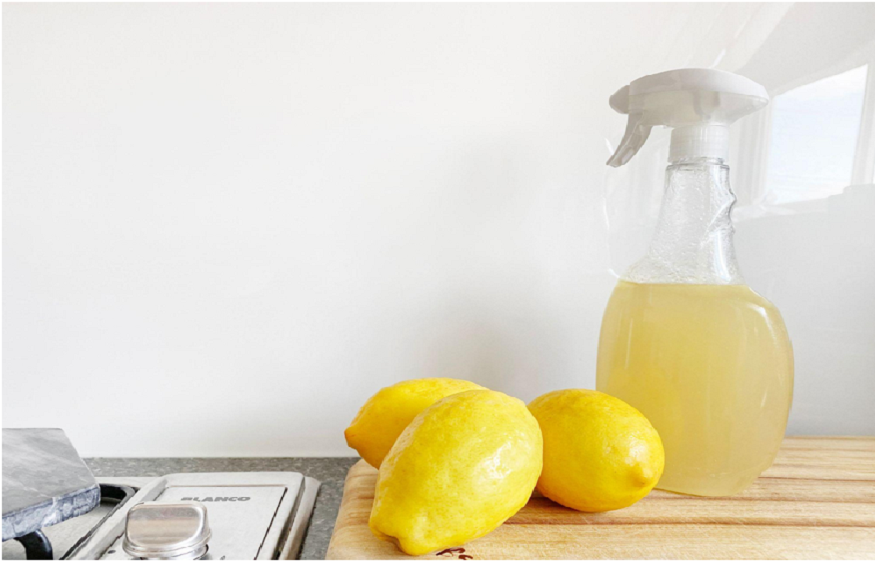 6 Eco-Friendly Cleaning Tips to Help Kill Household Germs