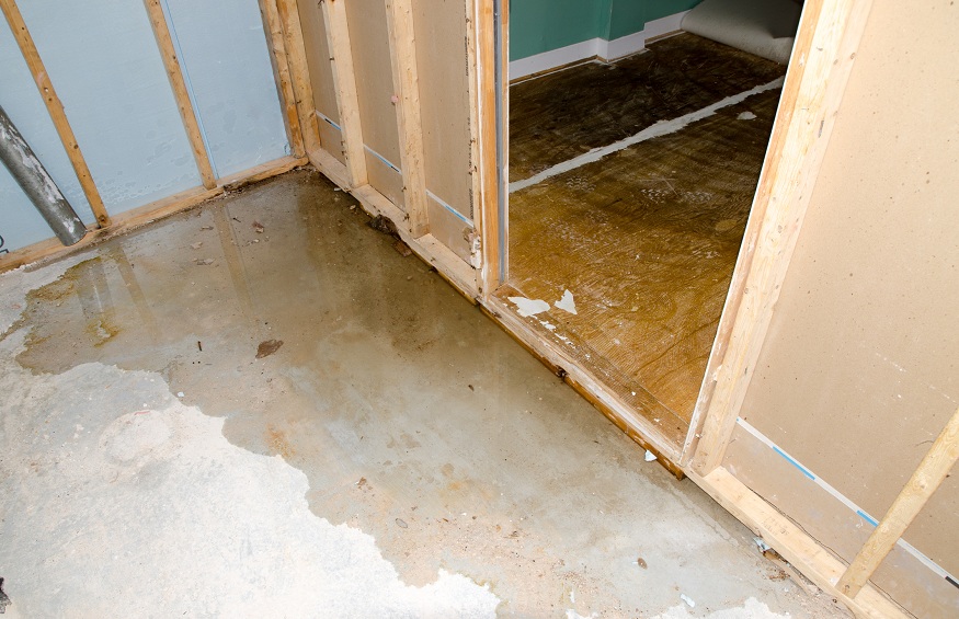 Top 5 Warning Signs of Water Damage in the Basement