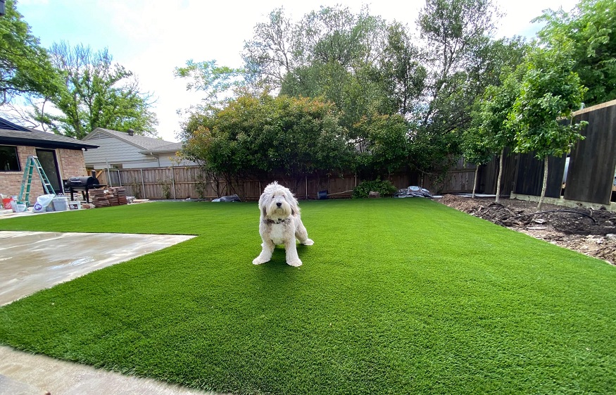 Why Artificial Grass is Fantastic for Pet Owners