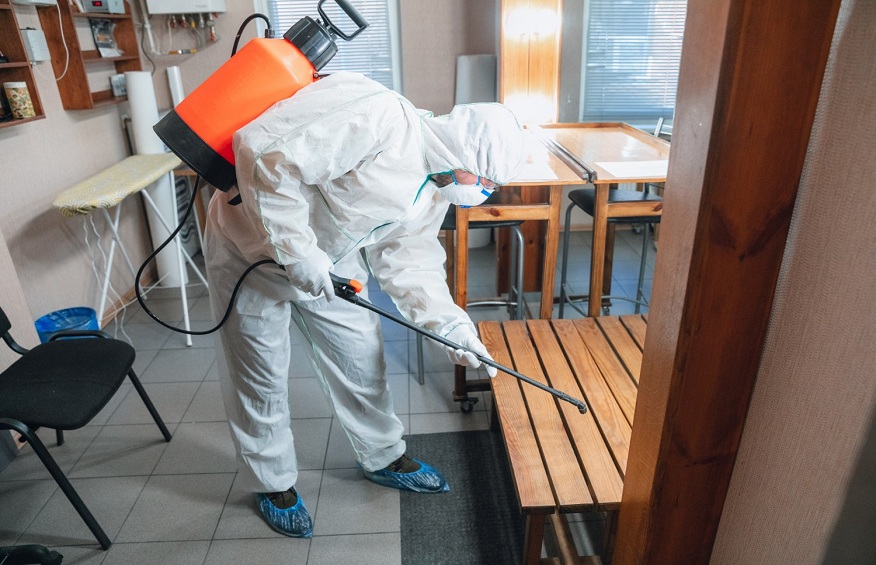 Exploring the Crucial Role of Pest Control Services
