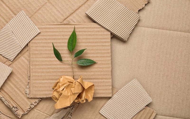 The Future of Packaging: Sustainable Solutions for Everyday Products